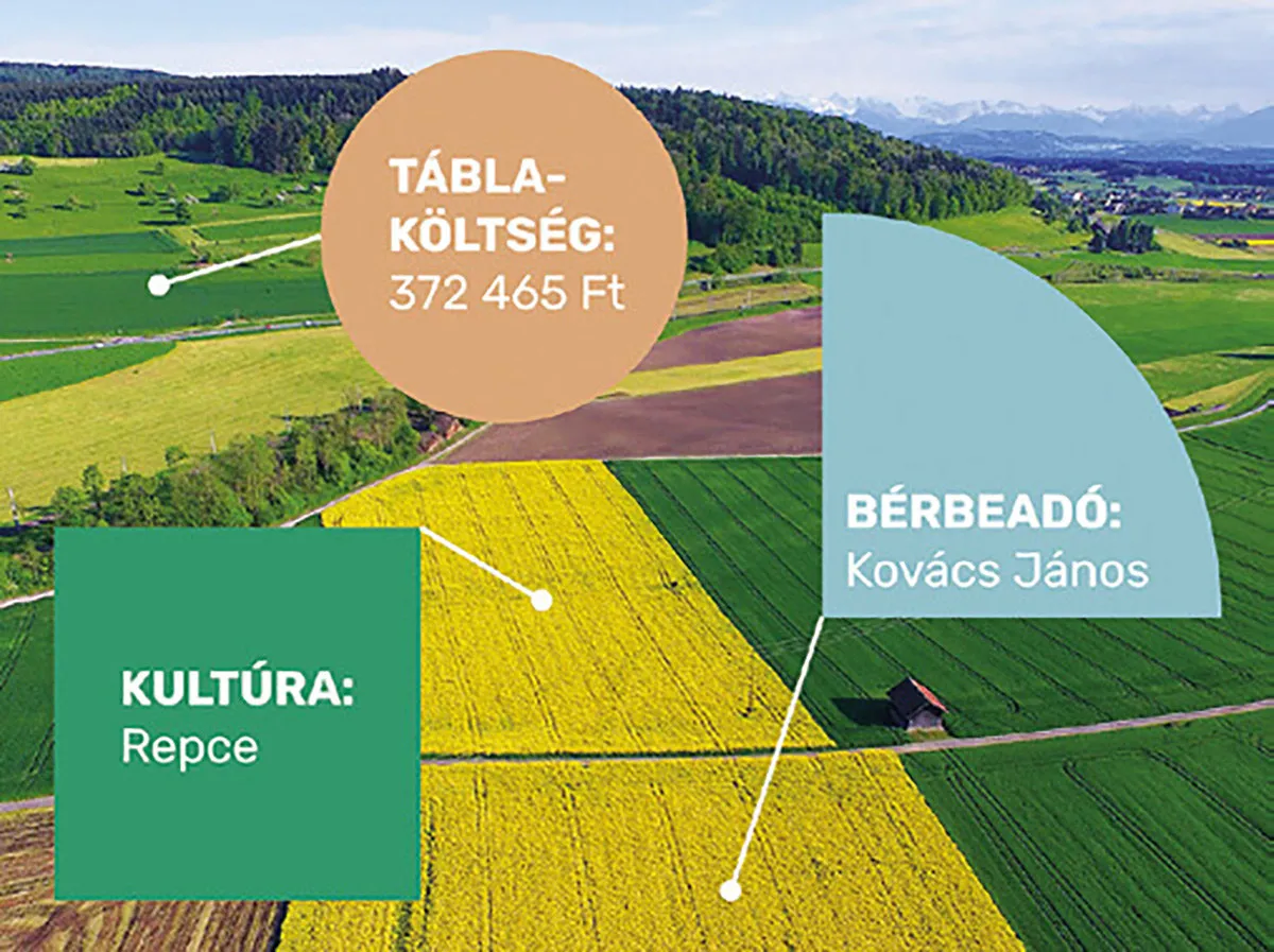Légifotó repcetáblákról adatcímkékkel: táblaköltség, kultúra (repce) és bérbeadó