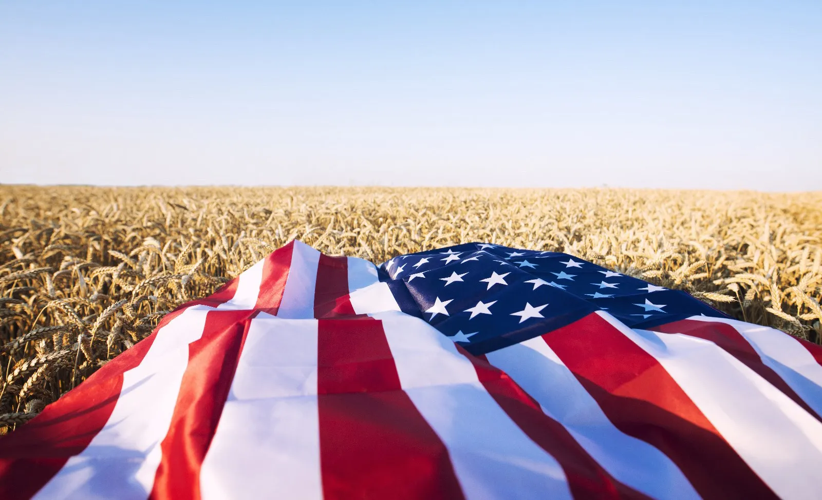 Amerikai zászló egy érett búzatáblán